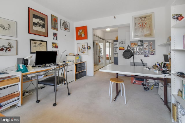 home office with carpet