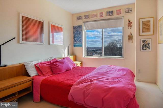 bedroom with carpet floors and baseboards