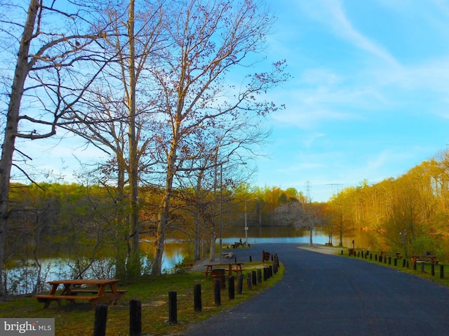 view of street featuring a water view and a view of trees