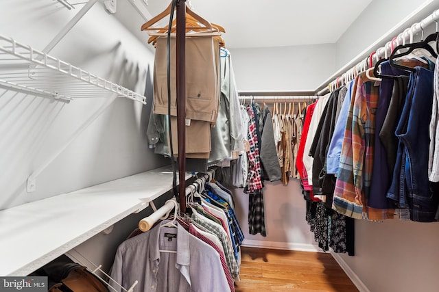 walk in closet featuring wood finished floors