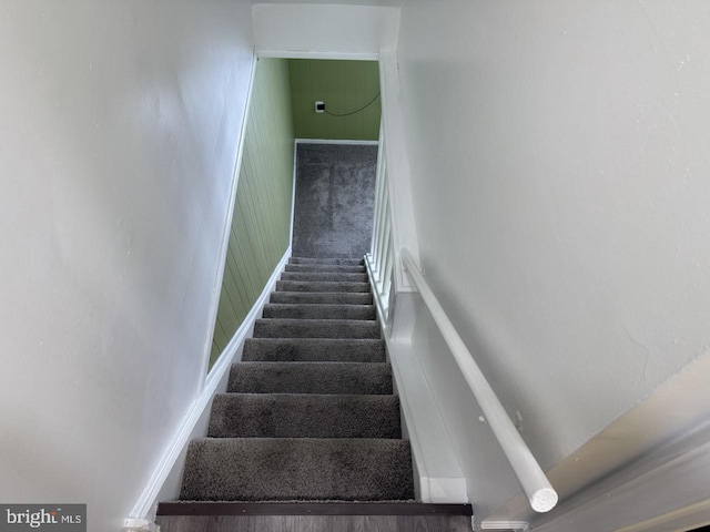 staircase featuring carpet