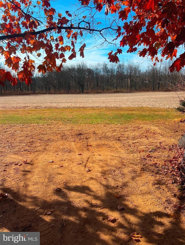 view of landscape with a forest view