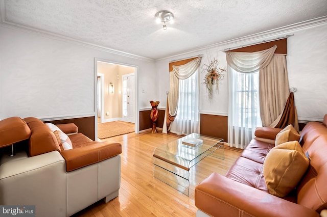 living area featuring light wood-style flooring, ornamental molding, and a textured ceiling