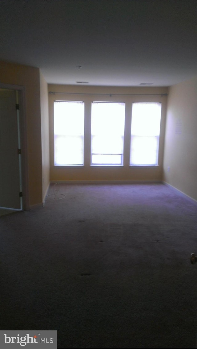 empty room featuring a healthy amount of sunlight, baseboards, and carpet flooring