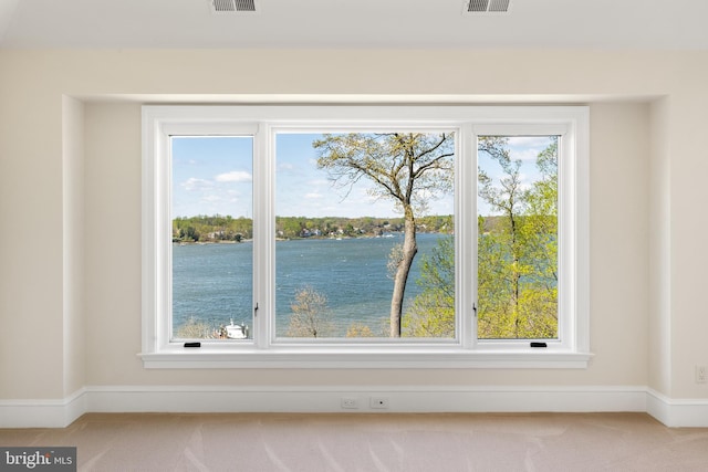 1900 Carrollton Rd, Annapolis, MD 21409 - details featuring baseboards, carpet flooring, and visible vents