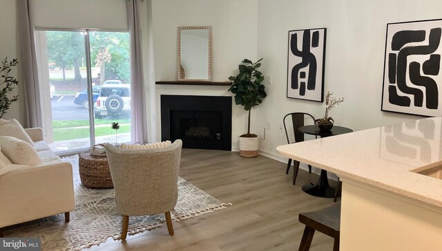 12919 Alton Sq Unit 120, Herndon, VA 20170 - living area featuring wood finished floors, plenty of natural light, a fireplace, and baseboards