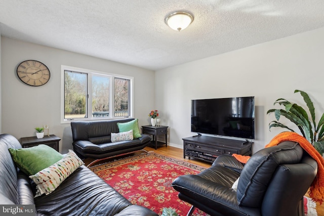 living room featuring wood finished floors, baseboards, and a textured ceiling