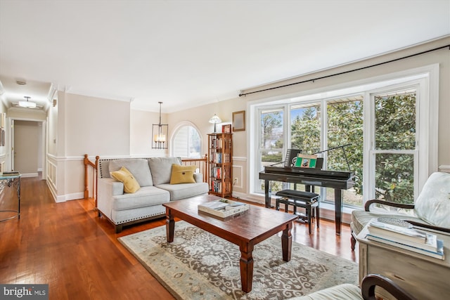 living area featuring a notable chandelier, dark wood-type flooring, and crown molding