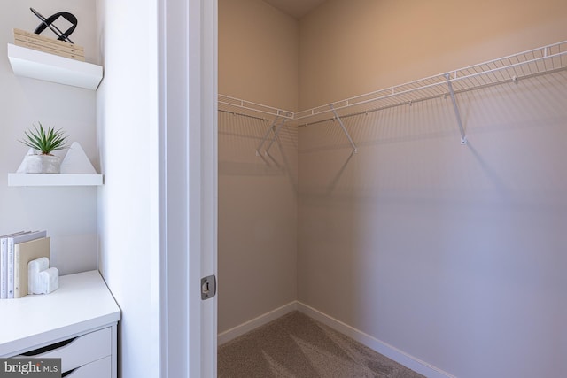 walk in closet with carpet