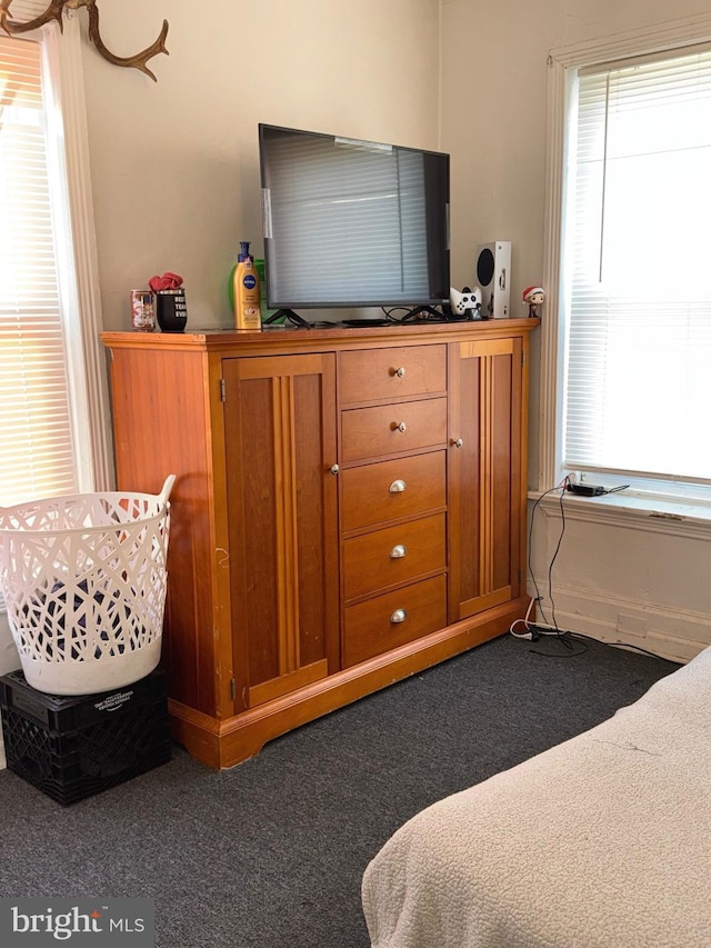 bedroom with carpet flooring