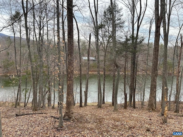 Listing photo 2 for 0 High Crest Ln Lot A6, Nellysford VA 22958