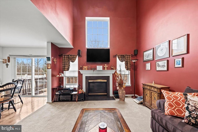 carpeted living area with a high ceiling and a fireplace with flush hearth