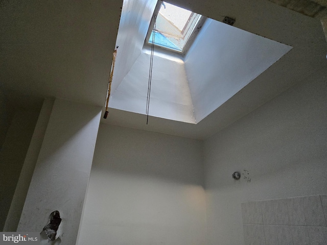 details featuring a skylight