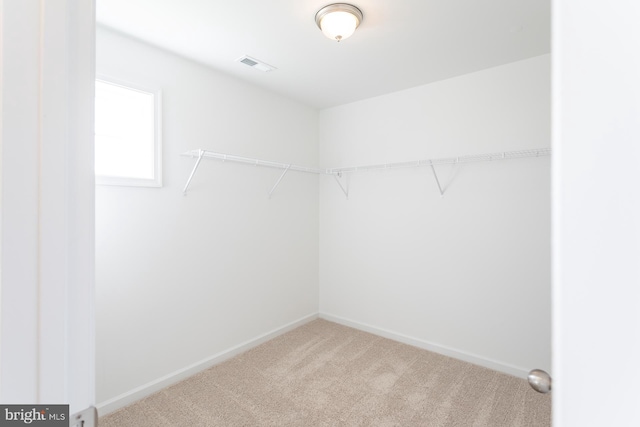 spacious closet featuring carpet flooring and visible vents