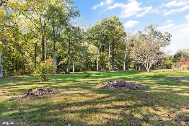 surrounding community featuring a yard