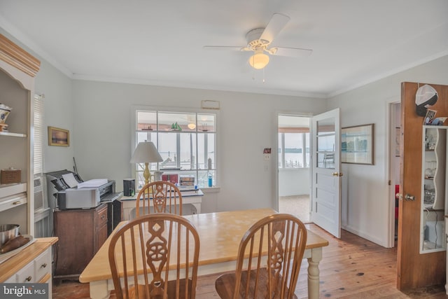 dining room with ceiling fan, wood finished floors, and crown molding