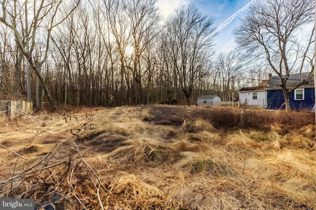 view of yard with a storage shed and an outdoor structure