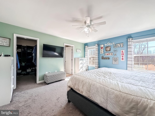 bedroom featuring carpet, baseboards, a walk in closet, and a ceiling fan