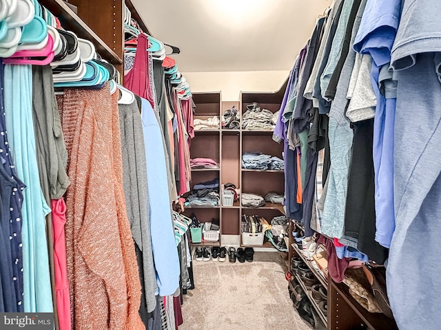 walk in closet with carpet flooring