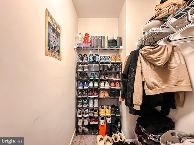 spacious closet featuring carpet flooring