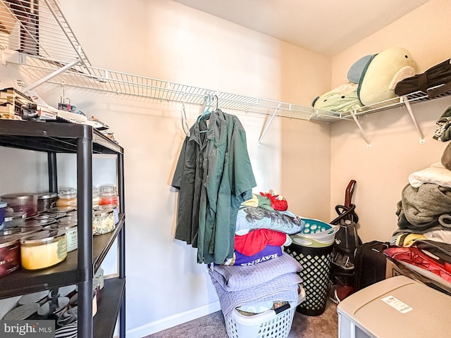 walk in closet with carpet flooring