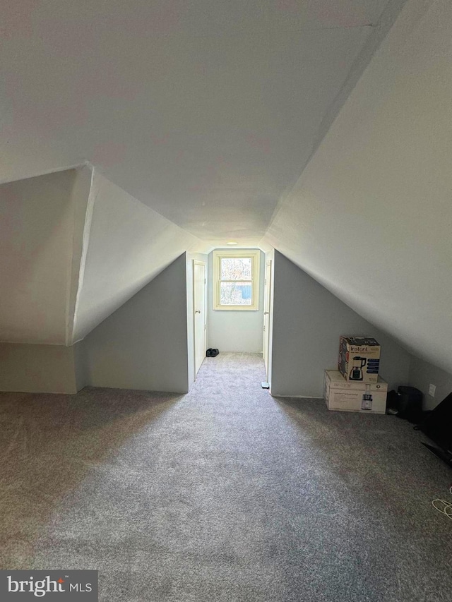 additional living space with vaulted ceiling and carpet