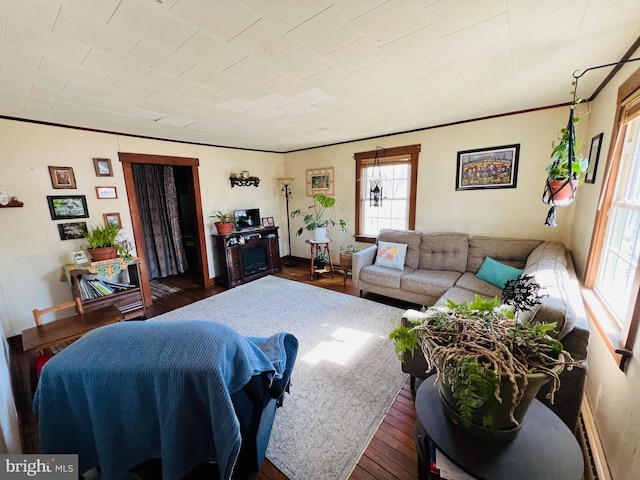 living room featuring wood-type flooring and ornamental molding