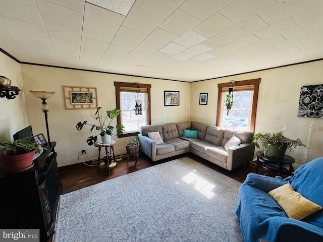 living area with ornamental molding and dark wood finished floors