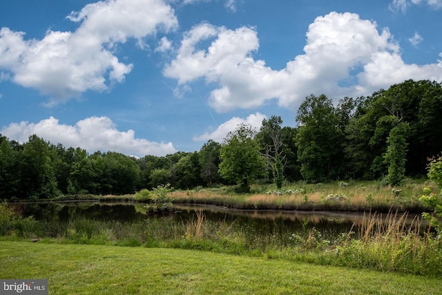 property view of water with a forest view