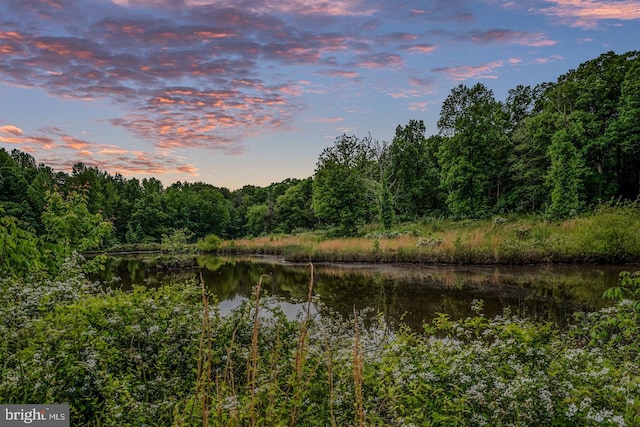 water view featuring a wooded view