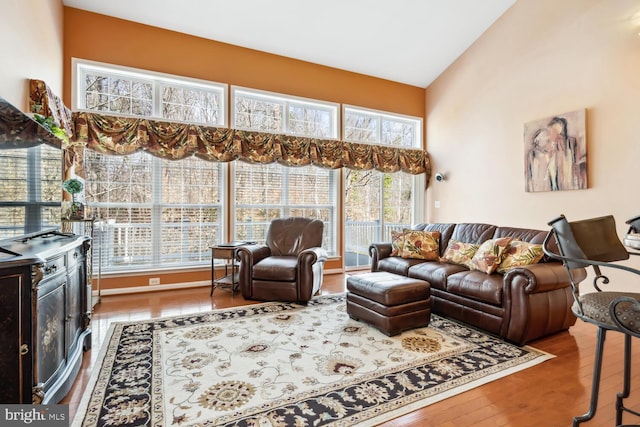 living room with lofted ceiling and wood finished floors