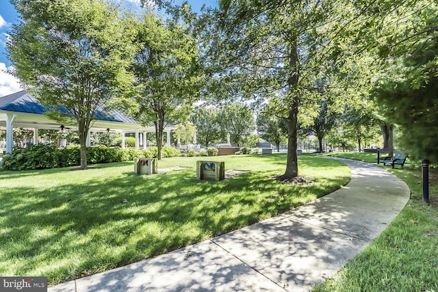 view of home's community with a yard