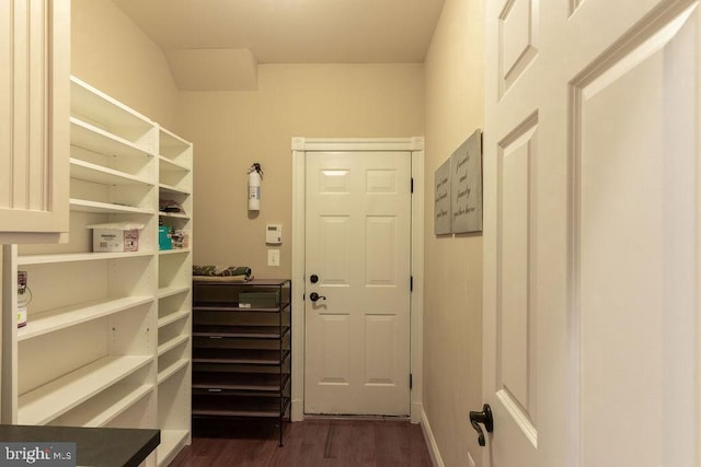 interior space featuring dark wood-type flooring