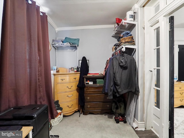 spacious closet featuring carpet