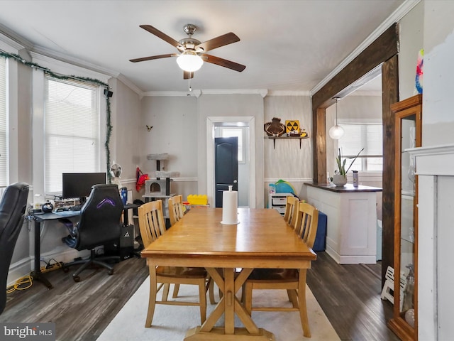 dining room featuring dark wood-type flooring, crown molding, and a ceiling fan