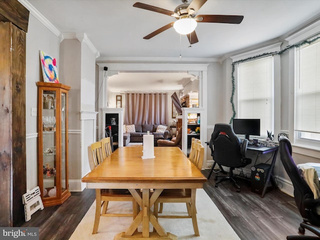 dining room with ornamental molding, ceiling fan, and dark wood-style floors