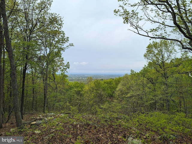 Listing photo 3 for LOT83 Baldwin Rd, Front Royal VA 22630