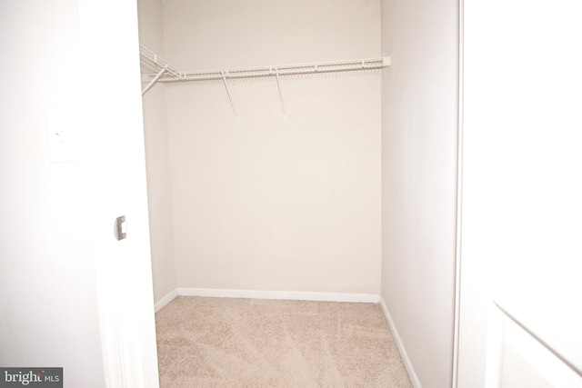 spacious closet with light carpet