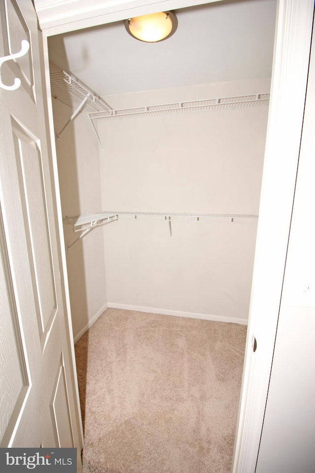 spacious closet with carpet