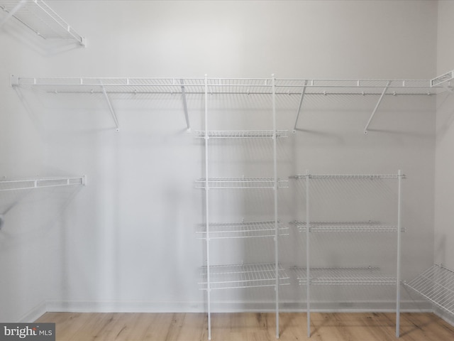 spacious closet with wood finished floors