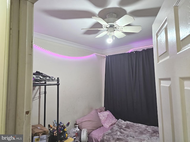 bedroom with ceiling fan and crown molding