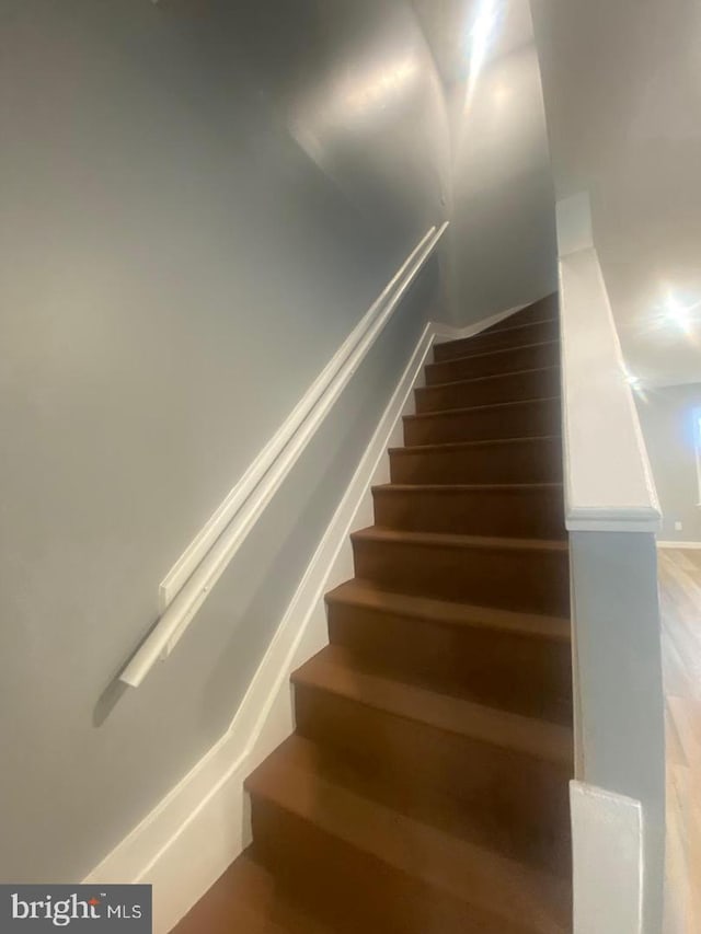 staircase featuring wood finished floors