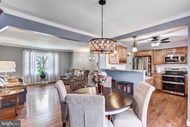 dining area with a ceiling fan, light wood-style flooring, and crown molding