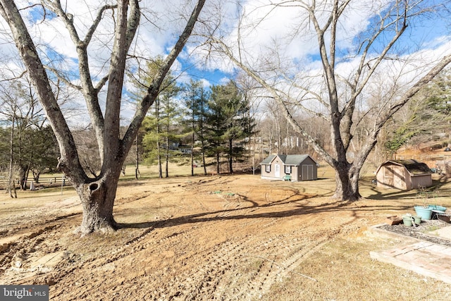 view of yard featuring an outbuilding and a storage unit