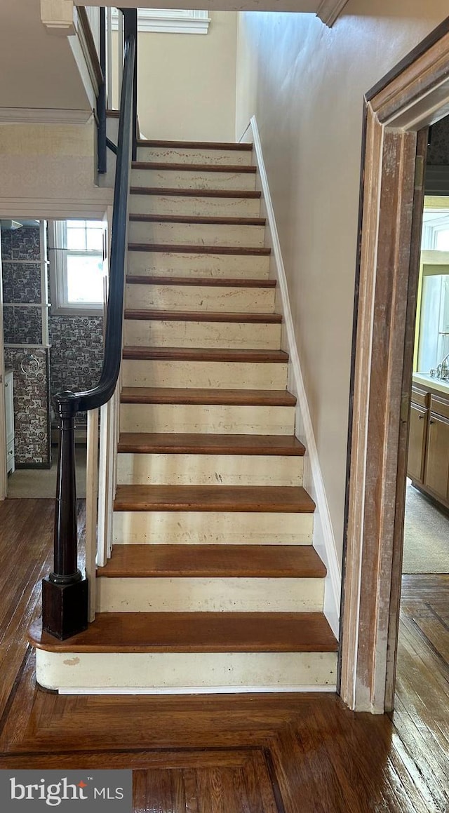 staircase with wood-type flooring