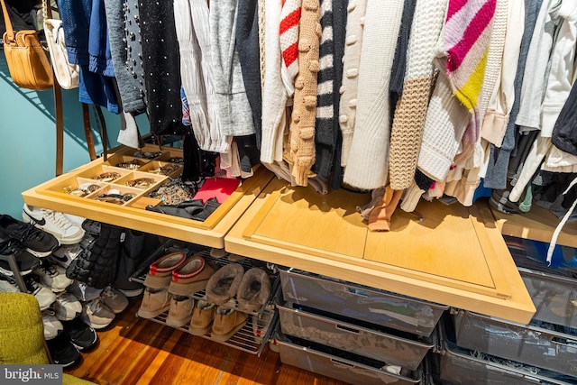 walk in closet with wood finished floors