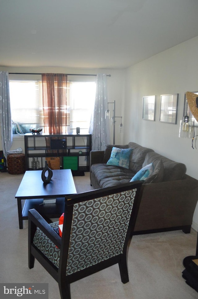 carpeted living area featuring a wealth of natural light