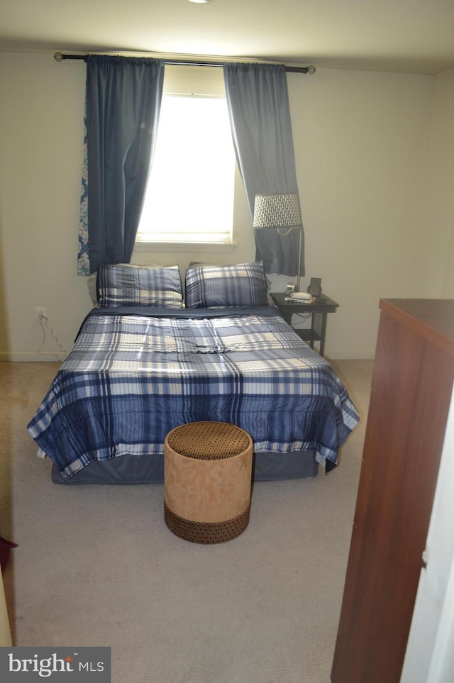 bedroom featuring carpet flooring