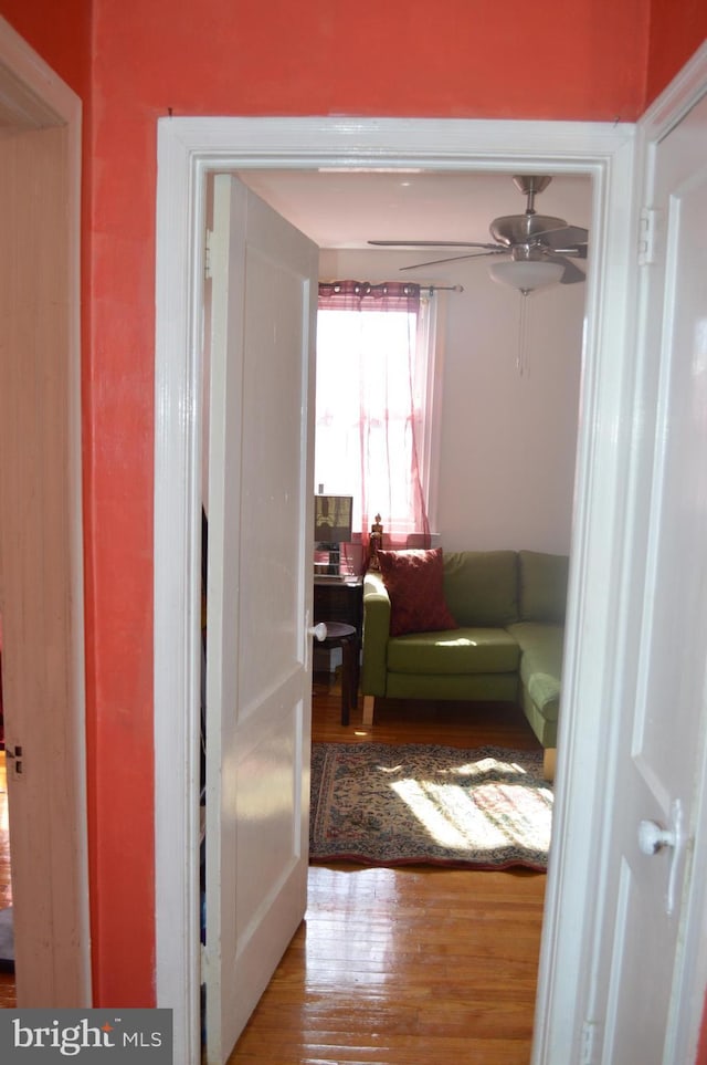 hallway featuring wood finished floors