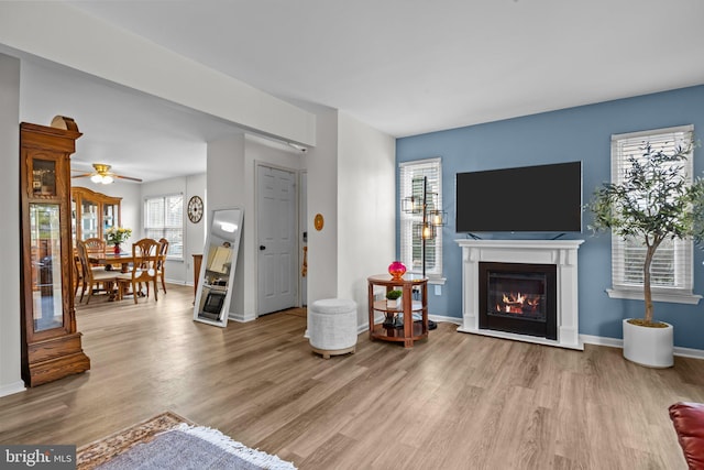 living room with ceiling fan, light wood finished floors, a glass covered fireplace, and baseboards